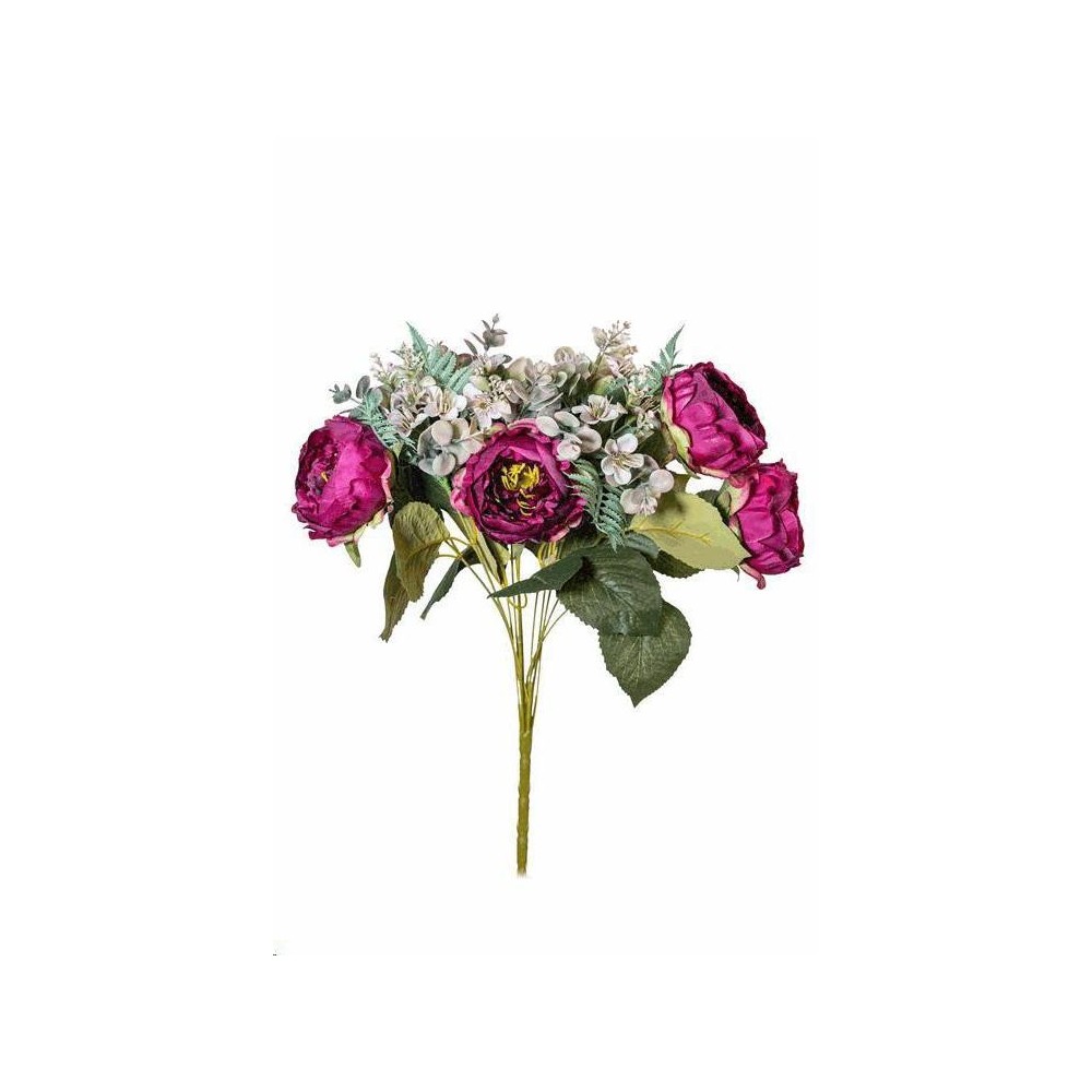 BUSH X12 PEONYEUCALYPTUS PLUM CM.50